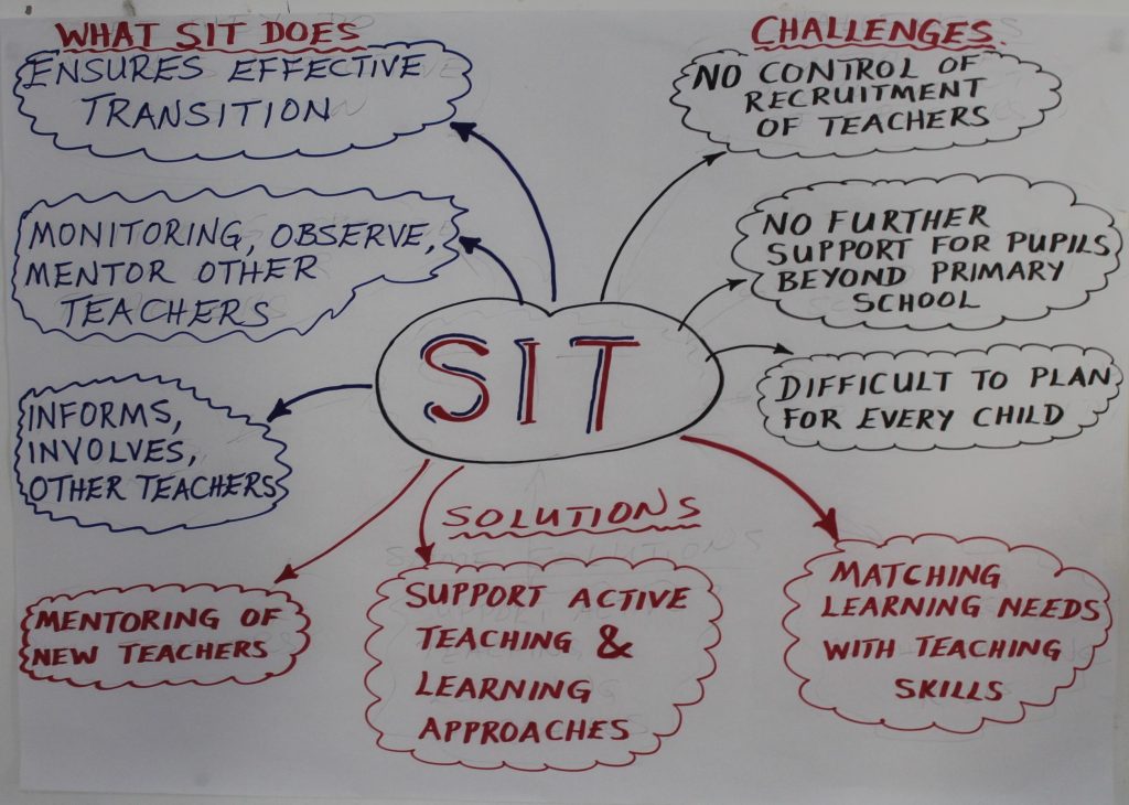 Mind-map showing 'what a SIT does'